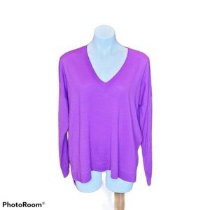 J. Crew Merino Boyfriend V-neck Large Sweater